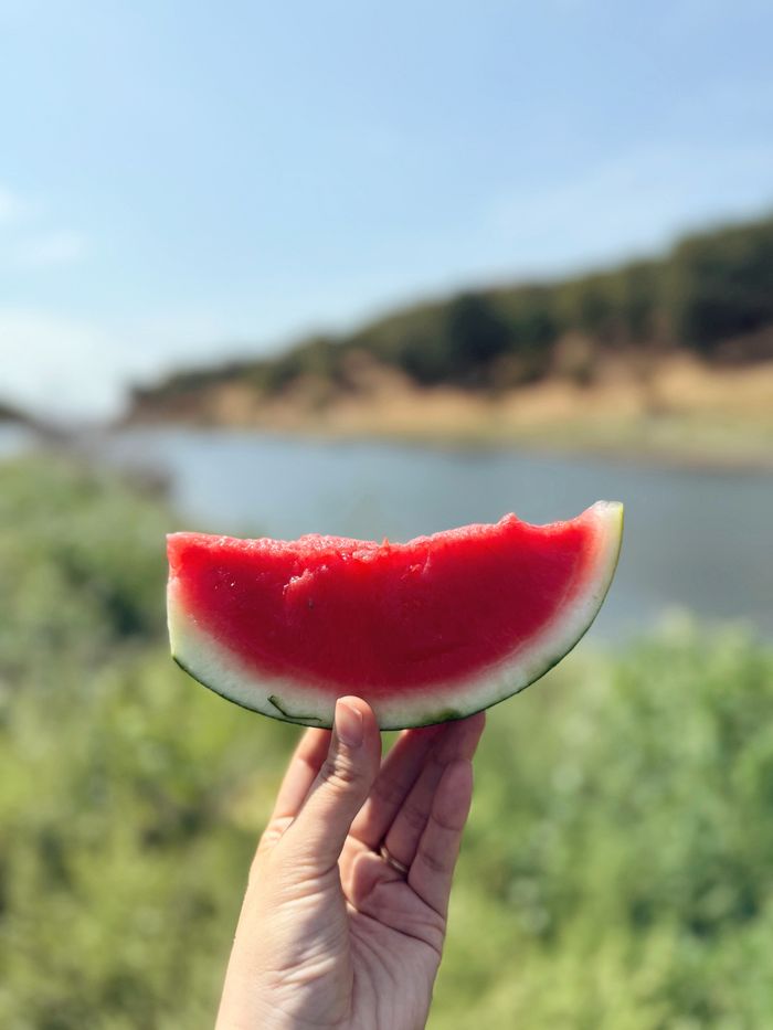 Refreshing watermelon slice held by a lake, evoking summer vibes.